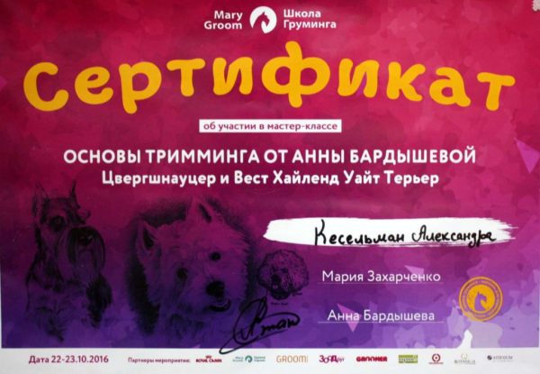 Сертифікат 20