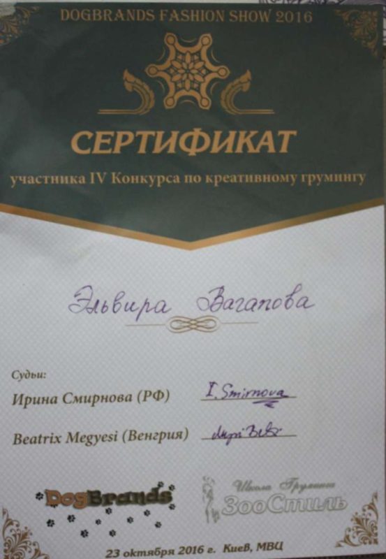 Сертифікат