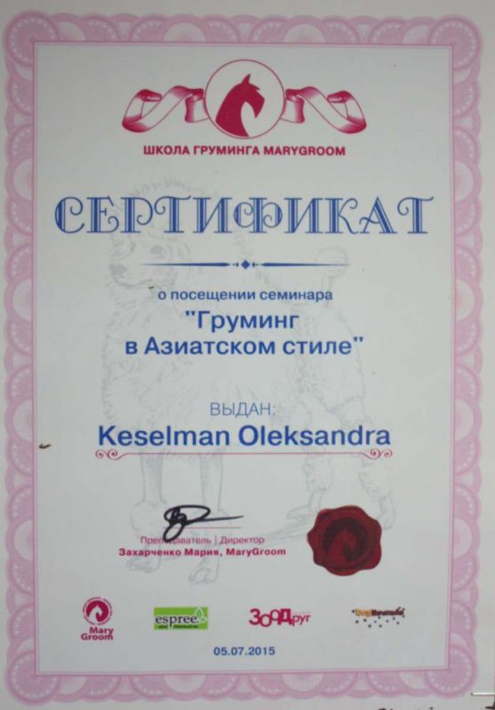 Сертифікат 3