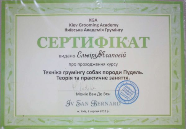 Сертифікат 18