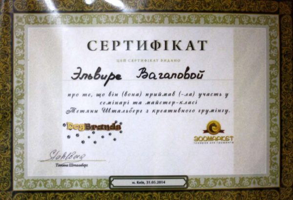 Сертифікат 16