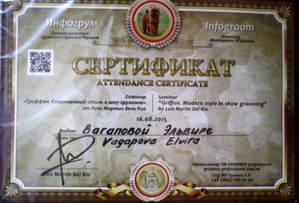 Сертифікат 15