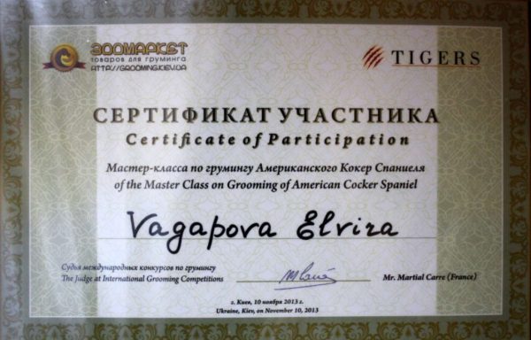 Сертифікат 14