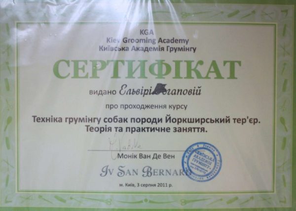 Сертифікат 13