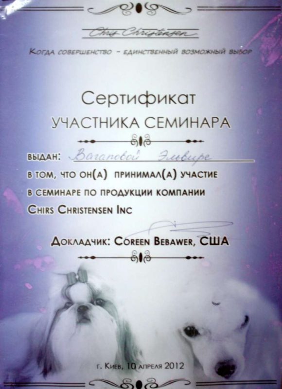 Сертифікат 6