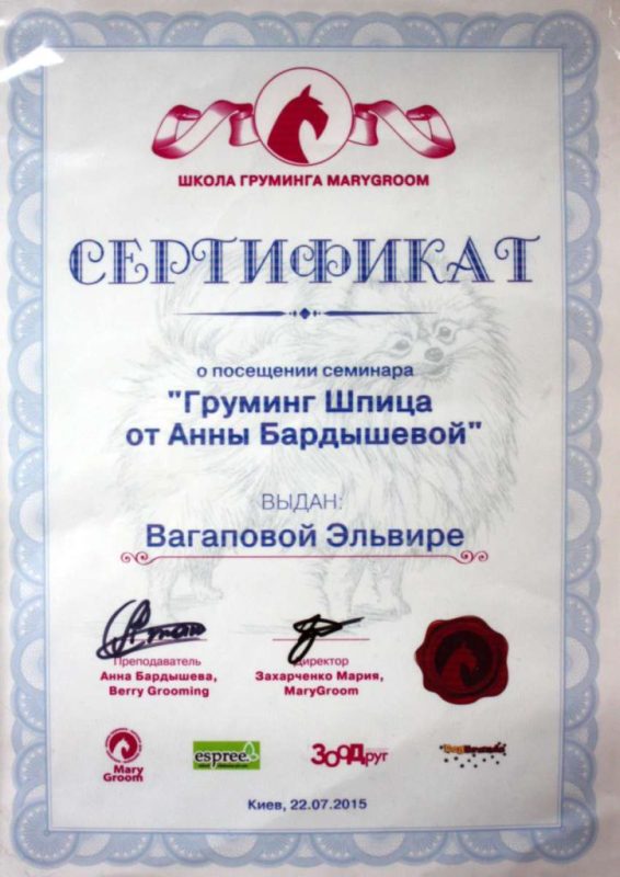 Сертифікат 5