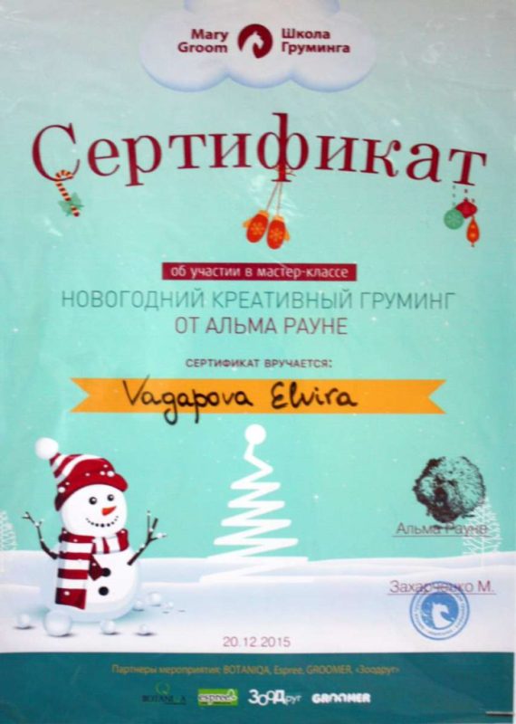 Сертифікат 7