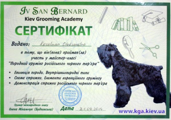 Сертифікат 11