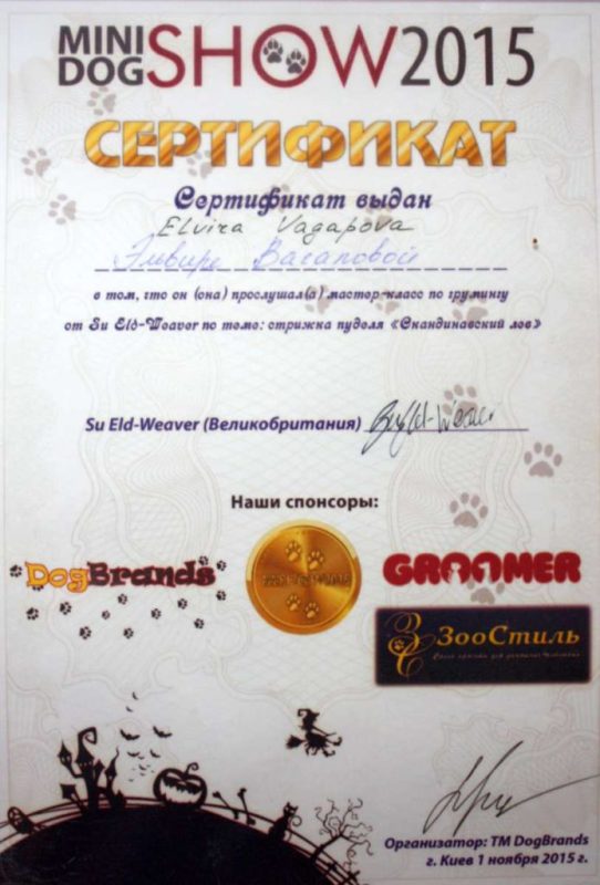 Сертифікат 8