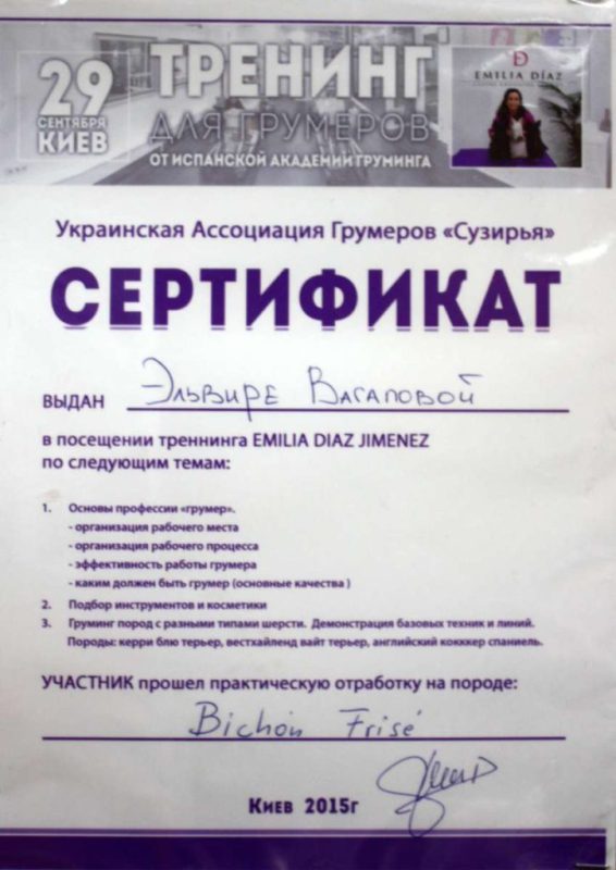 Сертифікат 9